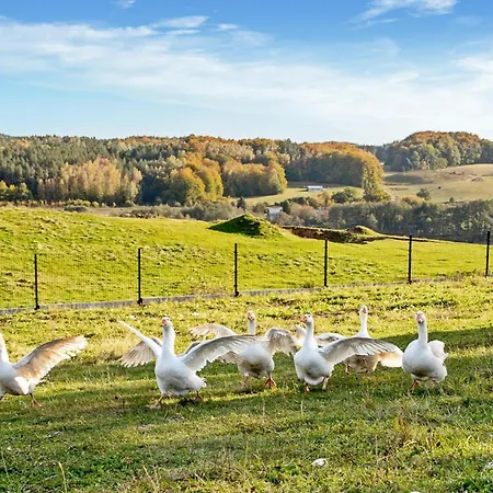 1 Bedroom Stunning In * Golubie