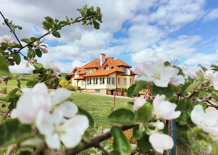 1 Bedroom Stunning In Apartament *