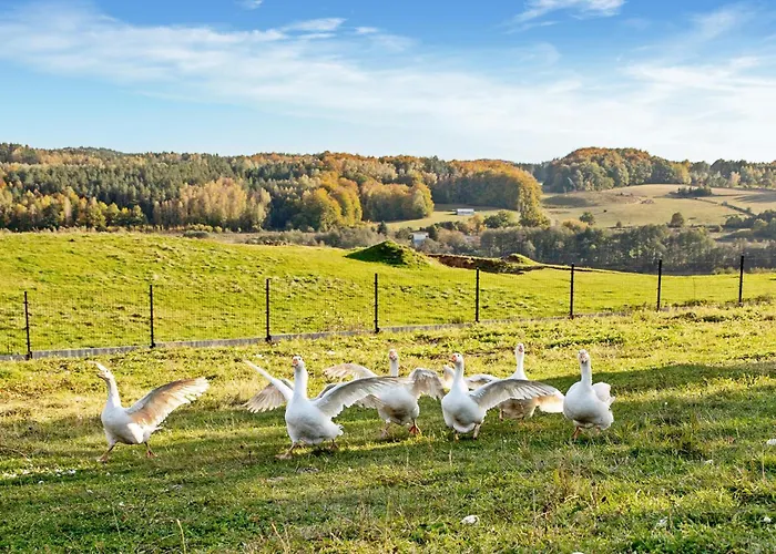 1 Bedroom Stunning In * Golubie